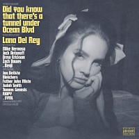 Did you know that there’s a tunnel under Ocean Blvd  Lana del Rey